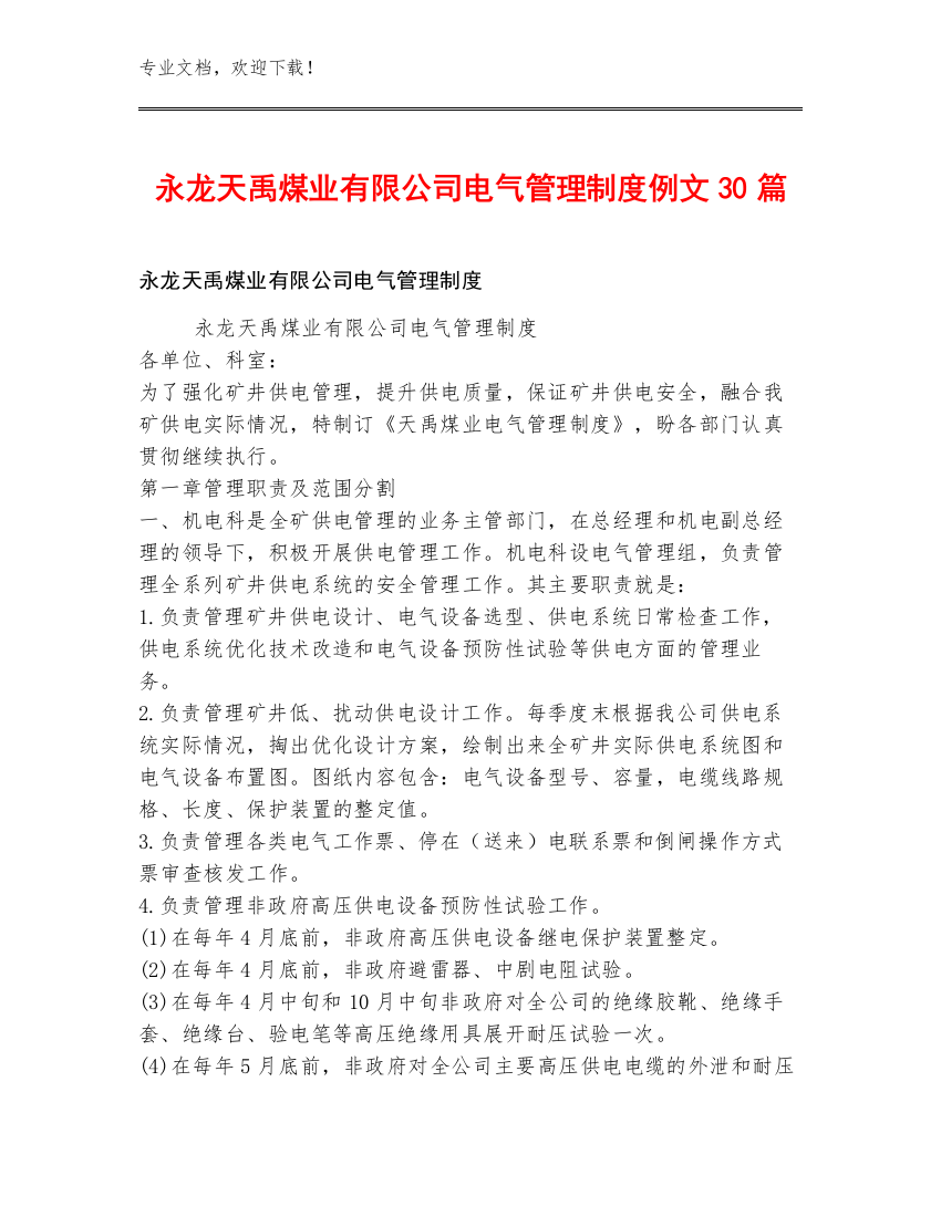 永龙天禹煤业有限公司电气管理制度例文30篇