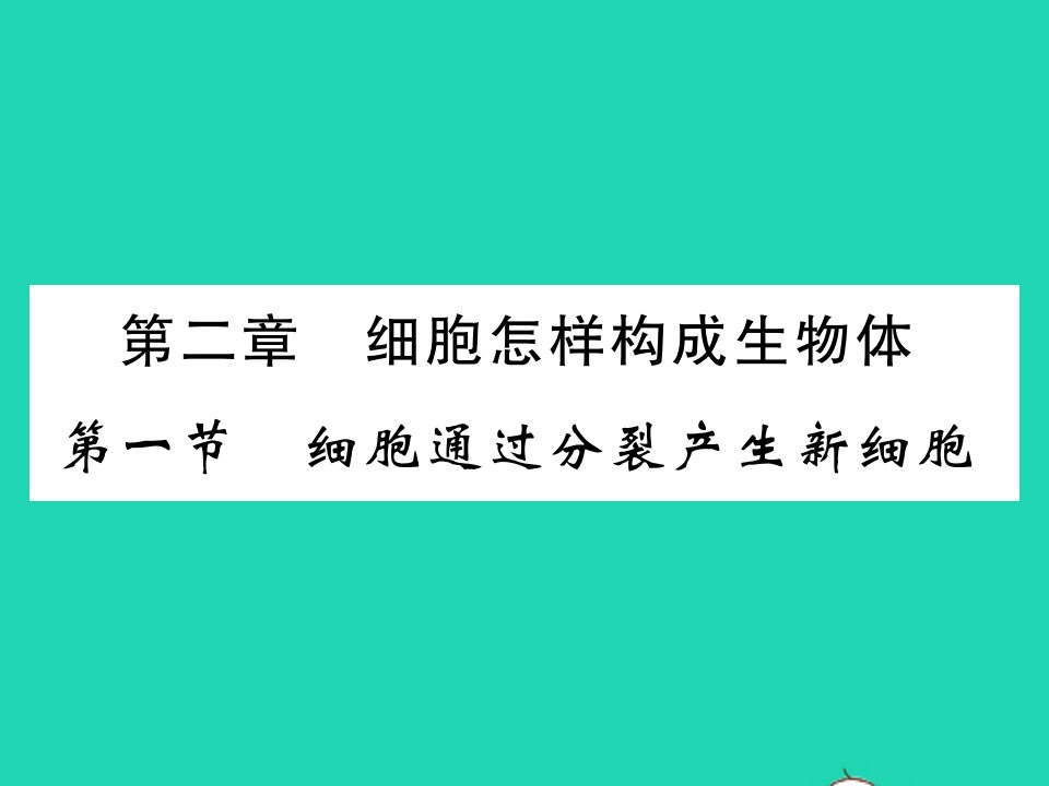 2021秋七年级生物上册第二单元生物体的结构层次第二章细胞怎样构成生物体第一节细胞通过分裂产生新细胞习题课件新版新人教版