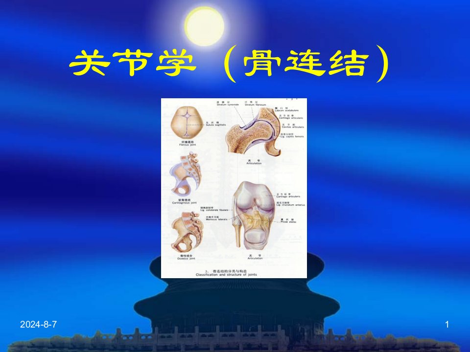 《关节肌学概述》PPT课件