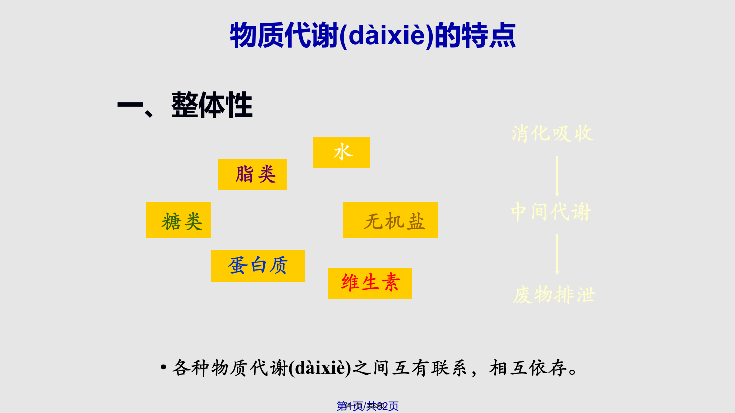 代谢的相互联系及调控