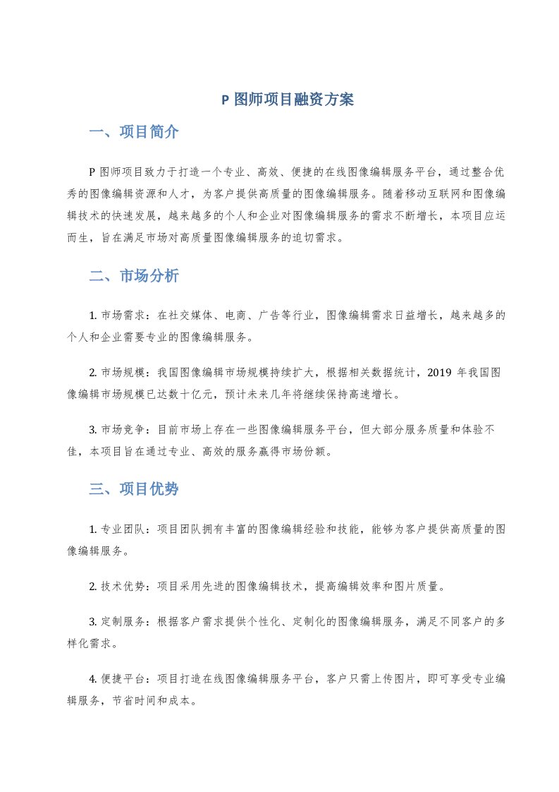 p图师项目融资方案