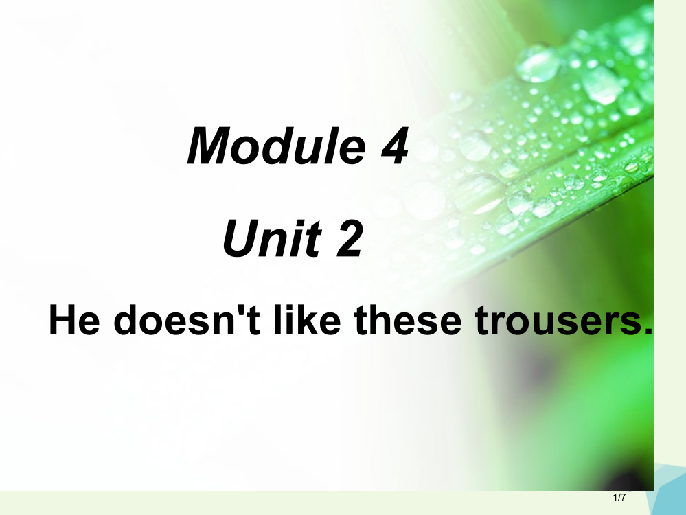 二年级英语上册-Module-4-Unit-2-He-doesn’t-like-these-trou