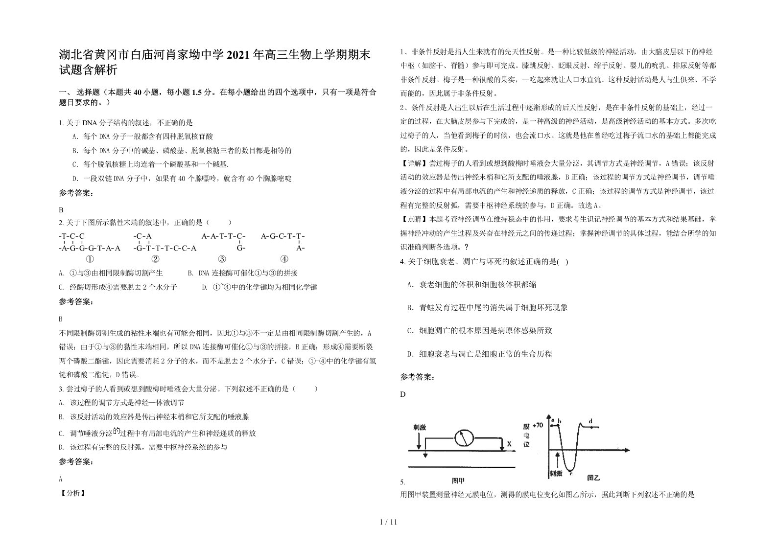 湖北省黄冈市白庙河肖家坳中学2021年高三生物上学期期末试题含解析