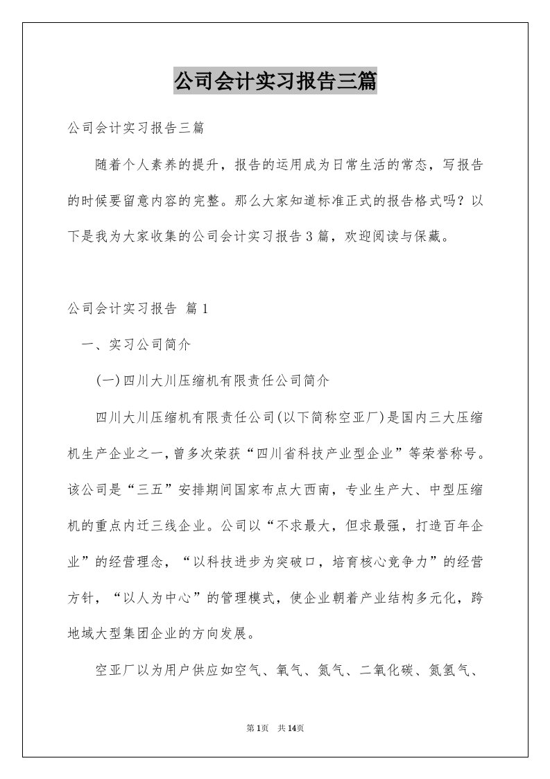 公司会计实习报告三篇范本