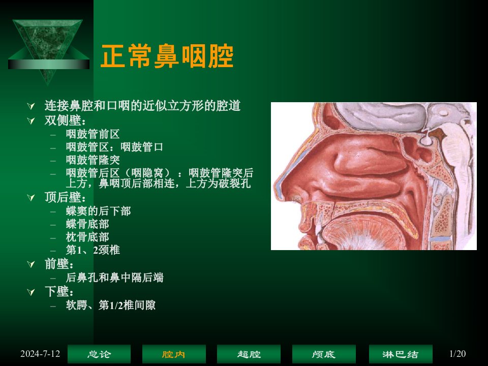 鼻咽癌解剖鼻咽腔