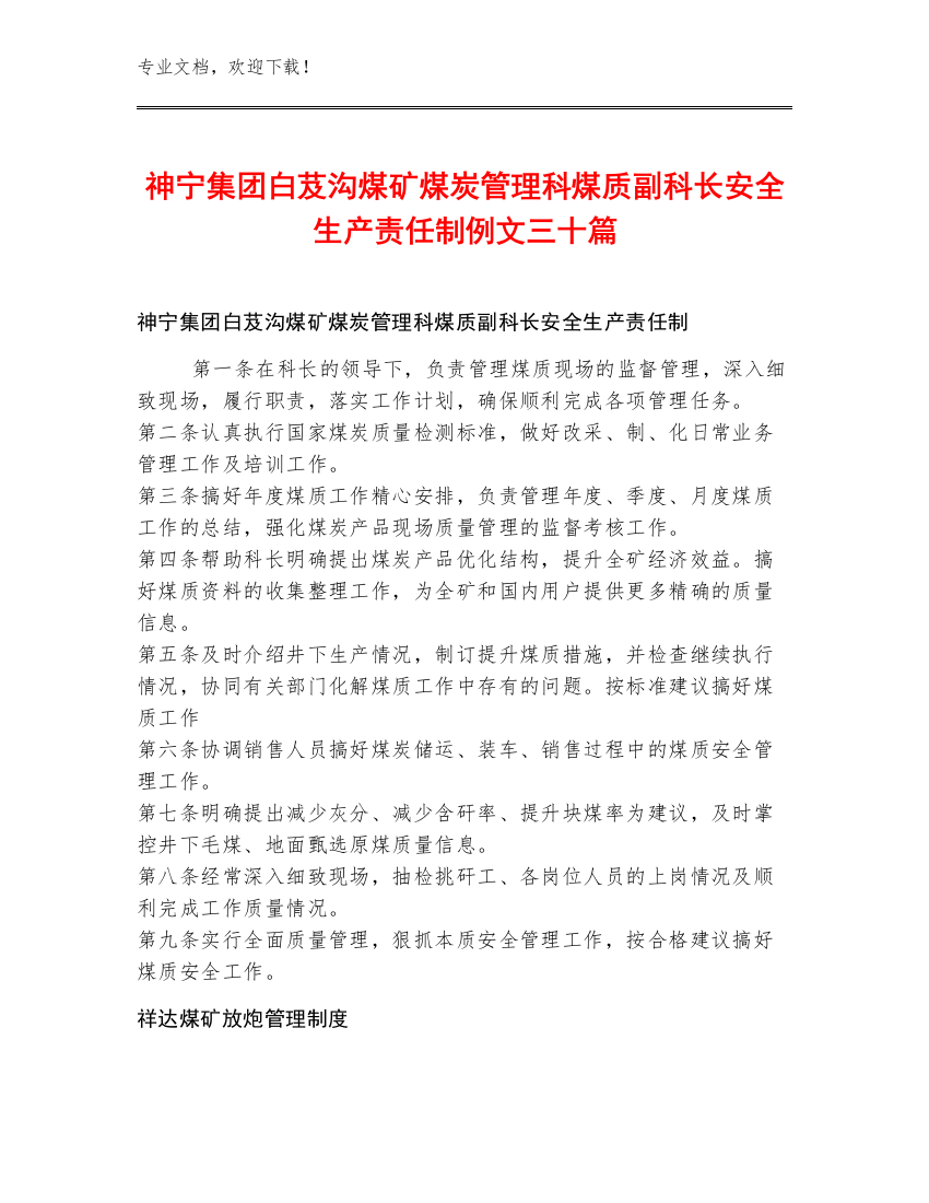 神宁集团白芨沟煤矿煤炭管理科煤质副科长安全生产责任制例文三十篇