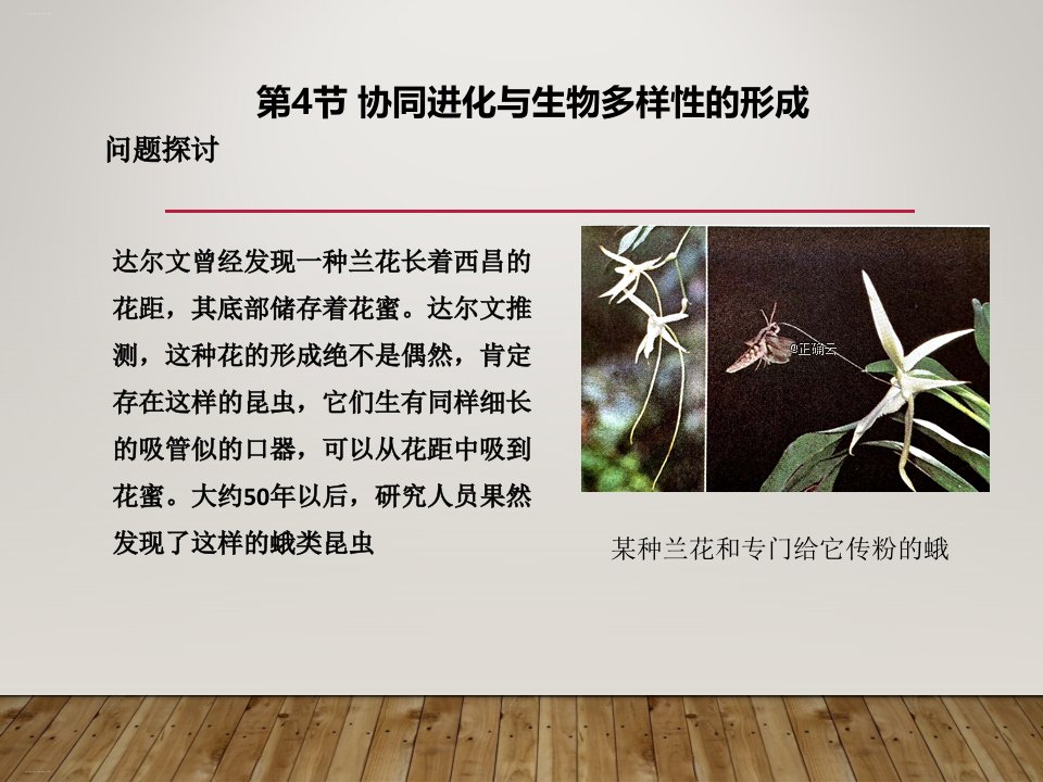 《协同进化与生物多样性的形成》课件1