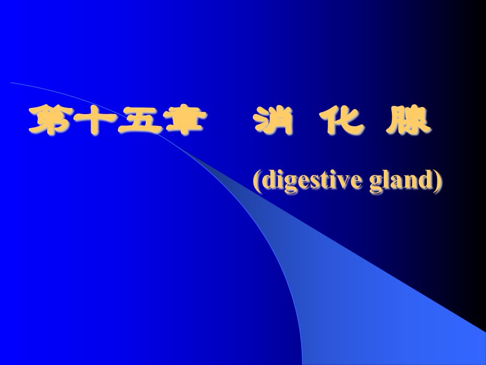 【大学课件】组织学与胚胎学中文课件---9-15