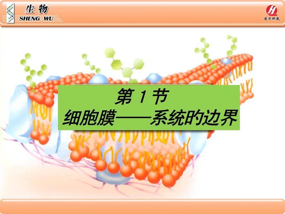 生物学必修细胞膜系统的边界公开课一等奖市赛课获奖课件