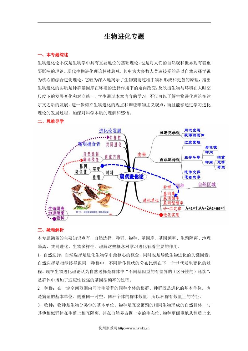 高考生物进化专题复习教学案