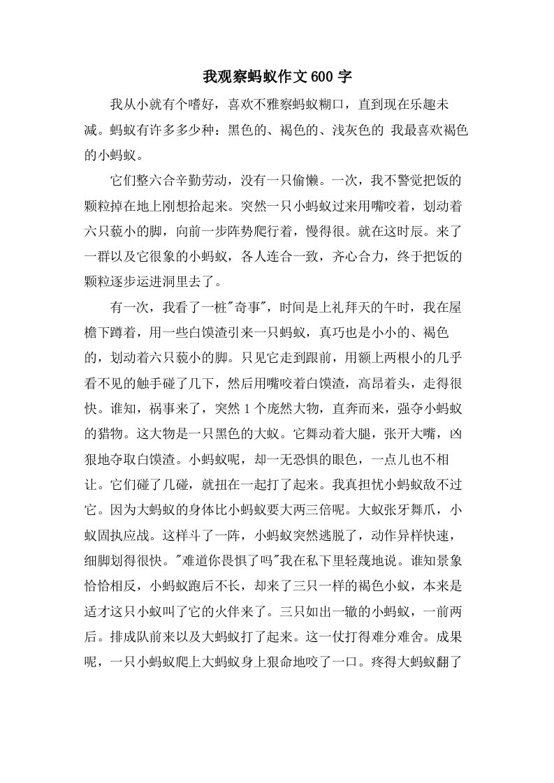 我观察蚂蚁作文600字