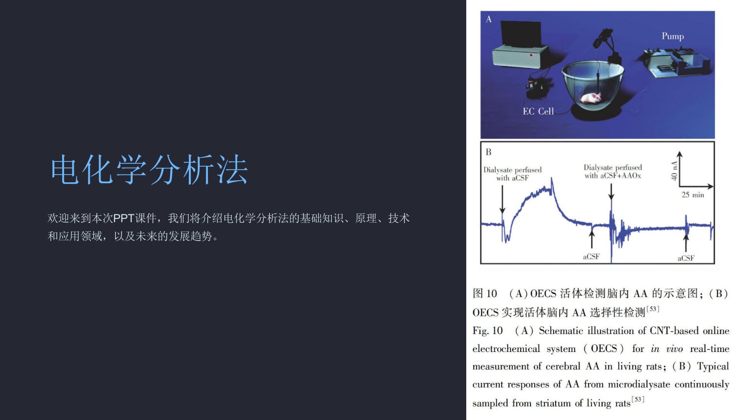 《电化学分析法》课件