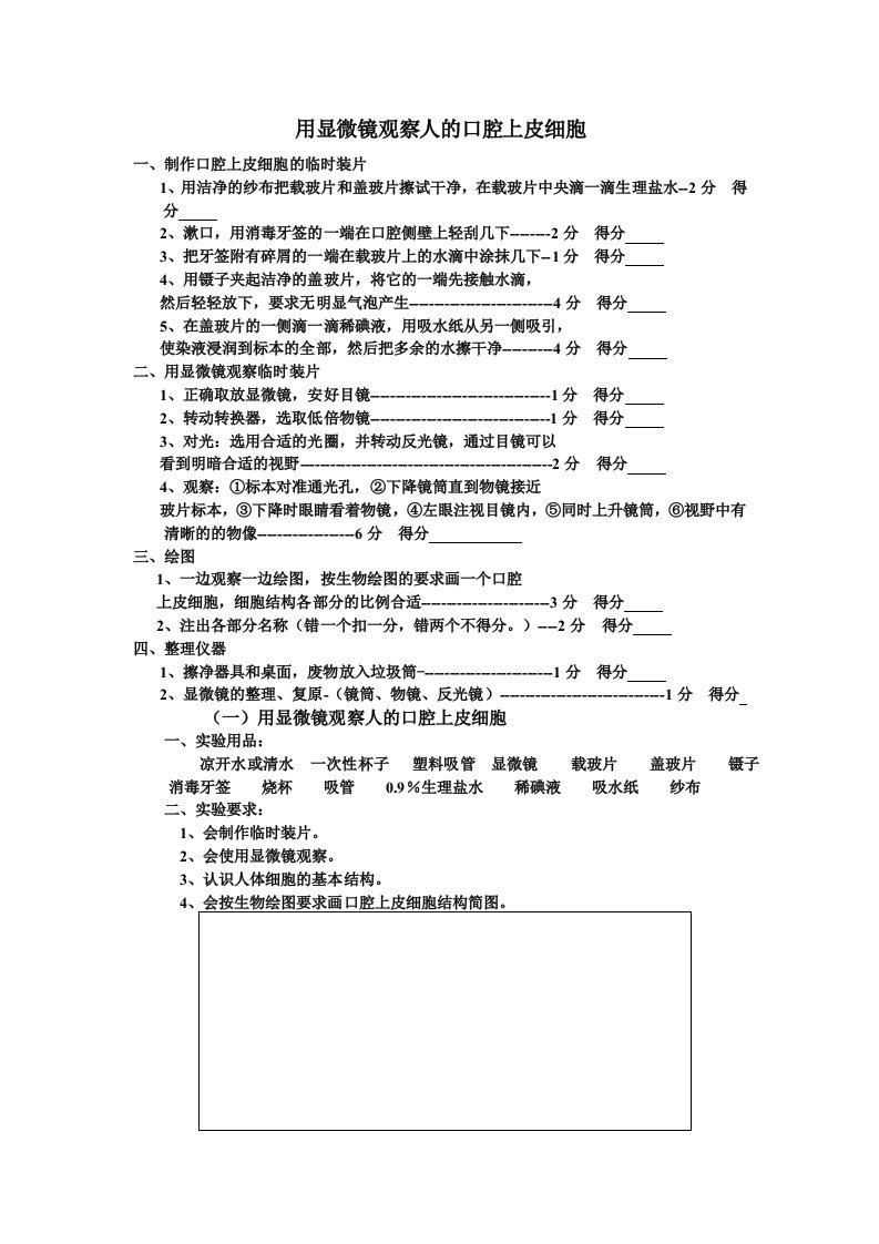 用显微镜观察人的口腔上皮细胞