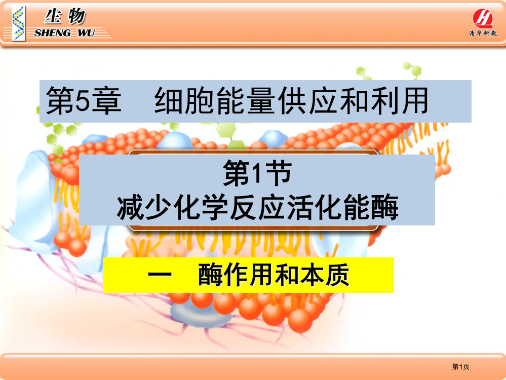 人教版高中生物必修一降低化学反应活化能的酶公开课一等奖优质课大赛微课获奖课件