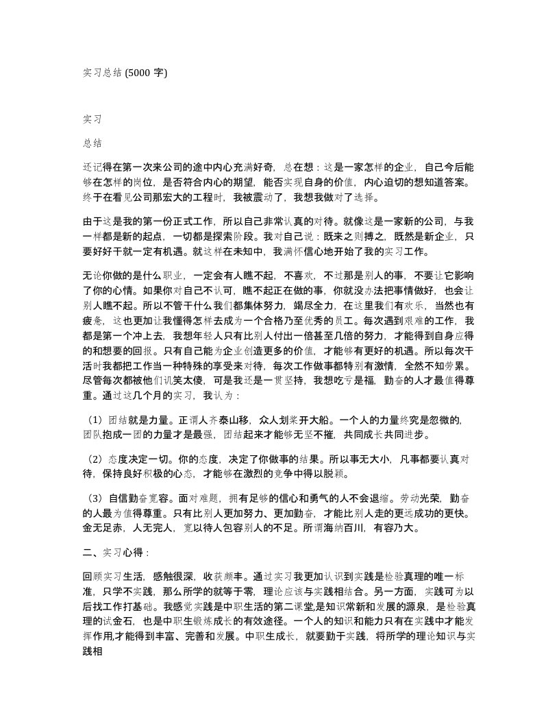 实习总结5000字