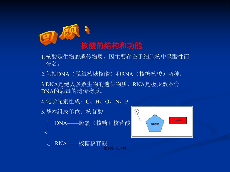 DNA分子的结构与复制一轮复习