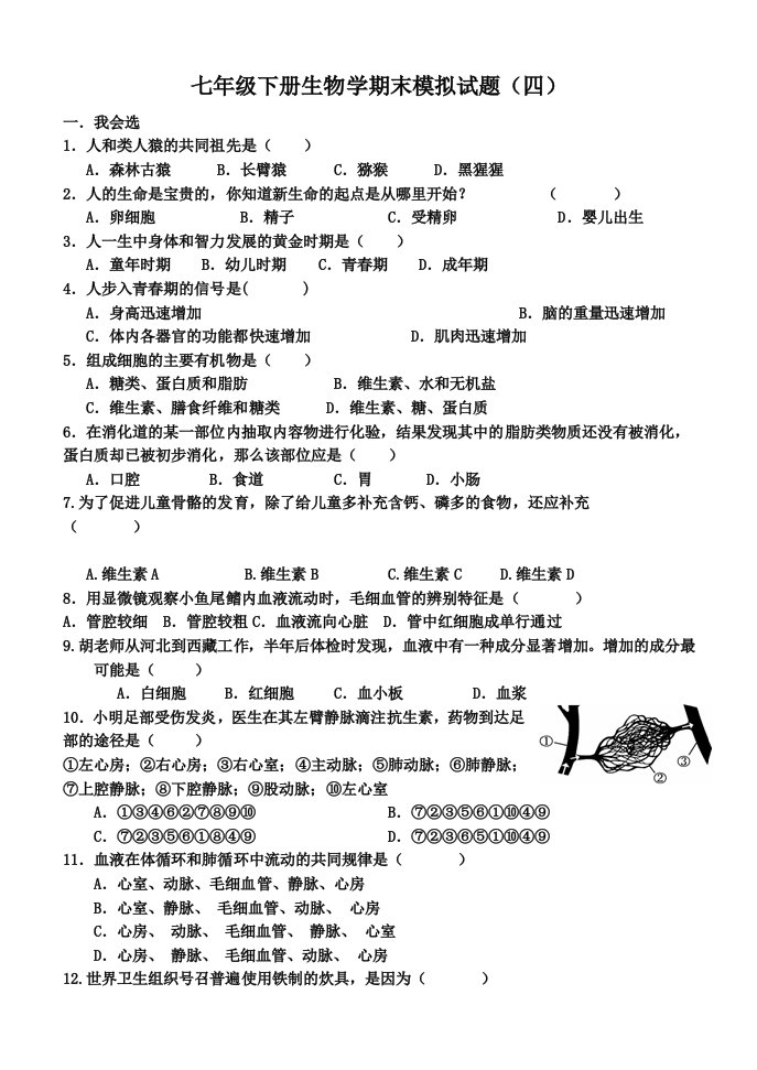 生物学七年级下册期末测试题(四)