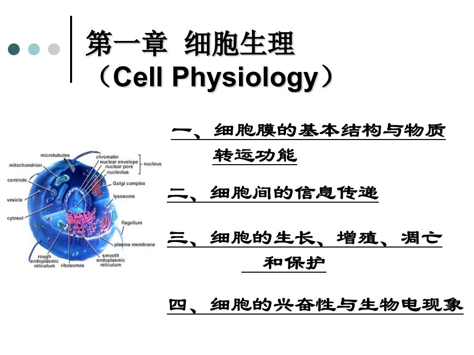 第二章细胞生理学cellphysiology