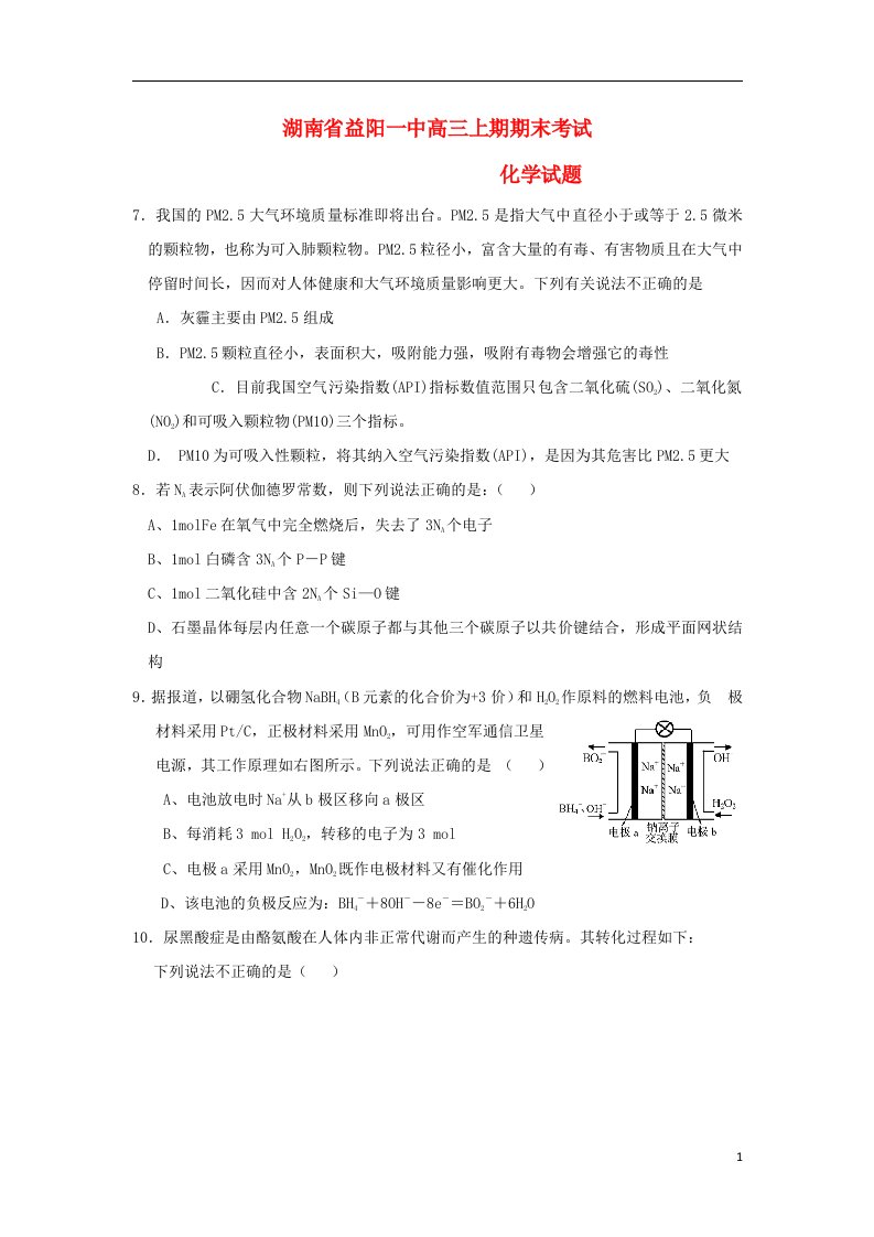 湖南省益阳市高三上期期末考试化学试题新人教版