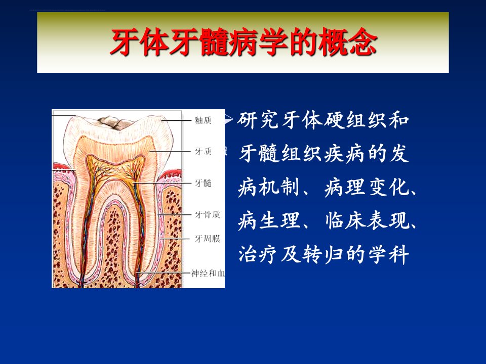 牙体牙髓病ppt课件