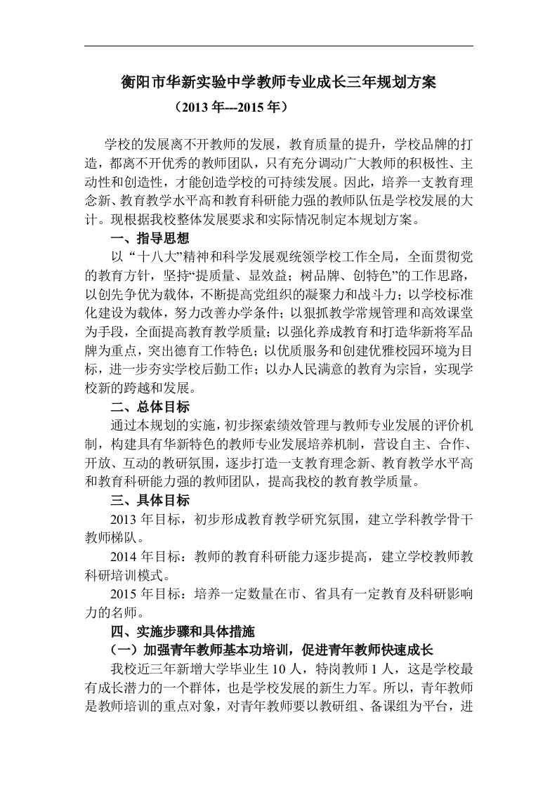 华新实验中学教师专业成长三年规划方案