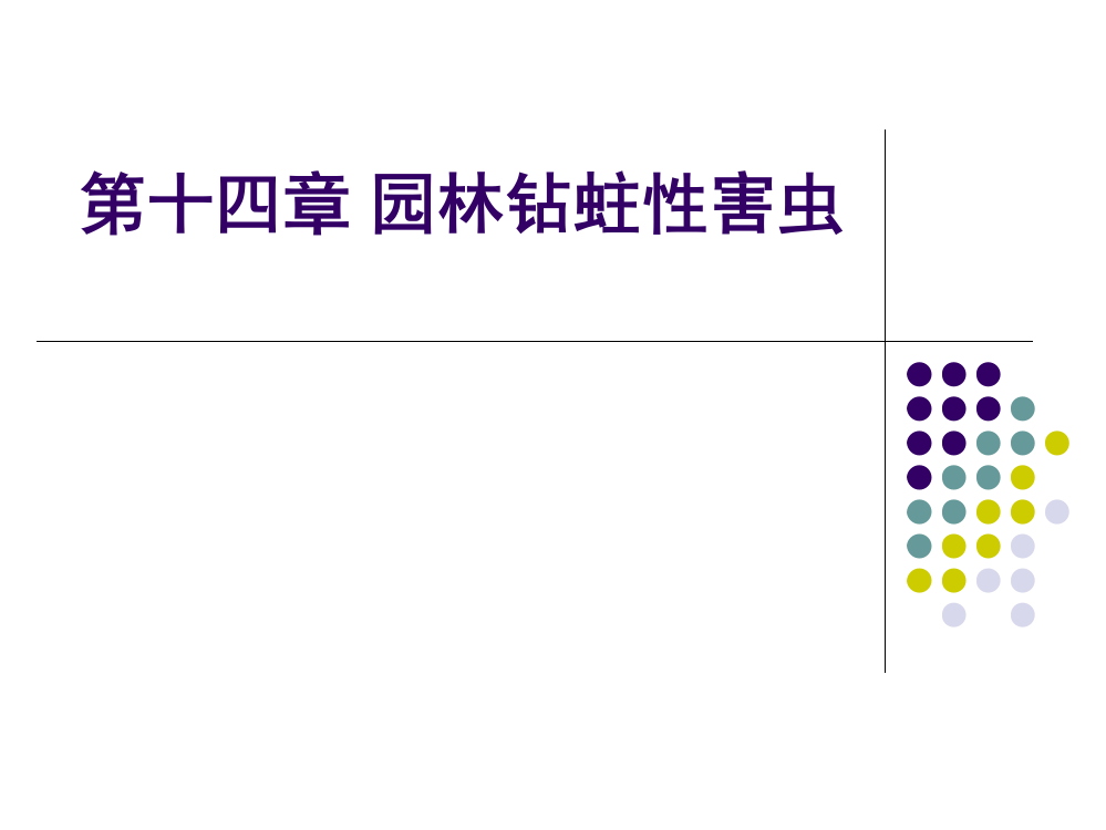 园林病虫害防治钻蛀性害虫ppt课件