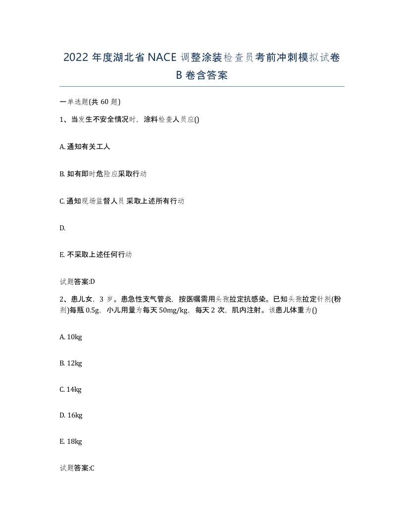 2022年度湖北省NACE调整涂装检查员考前冲刺模拟试卷B卷含答案