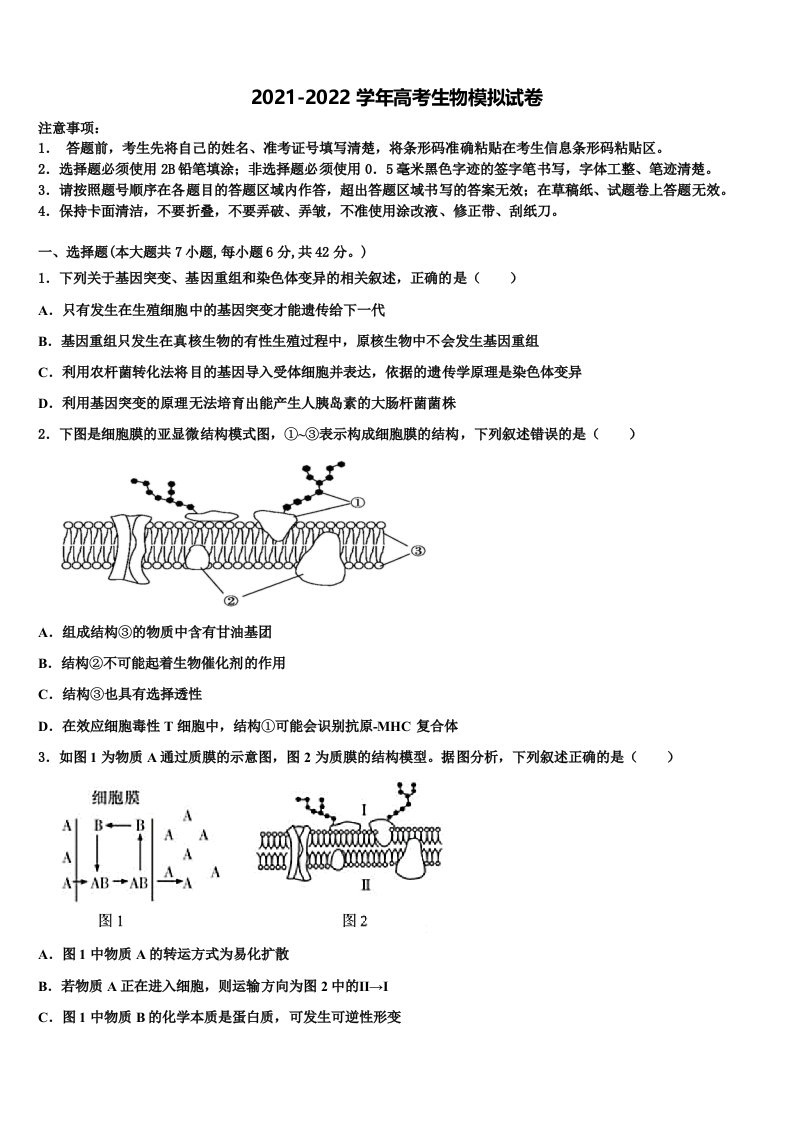 2022年江苏省无锡市洛社初级中学高三二诊模拟考试生物试卷含解析