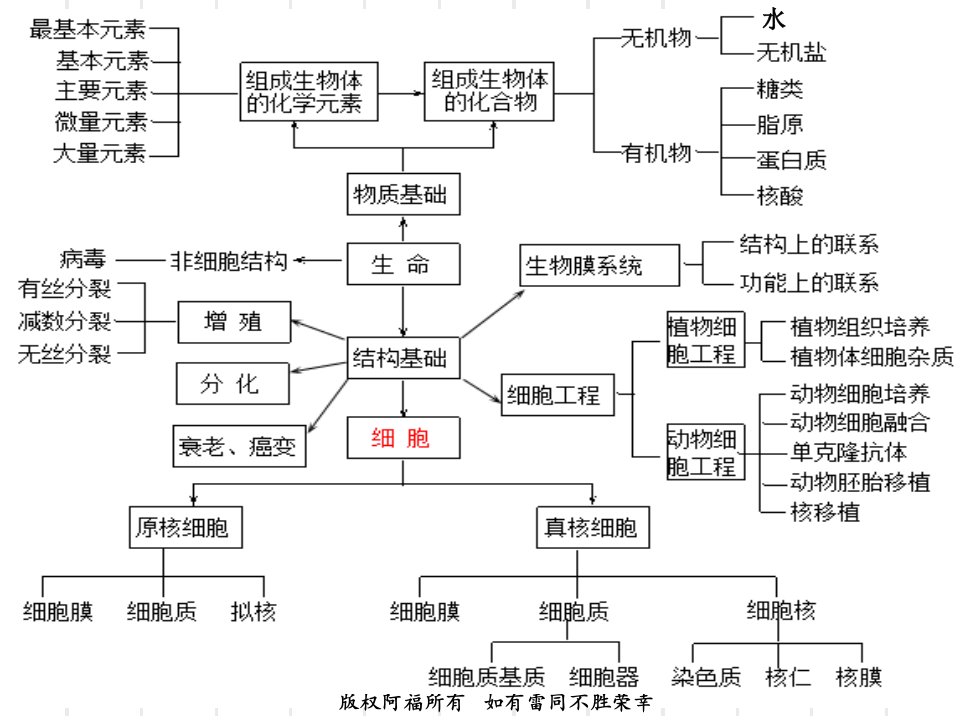 专题2细胞的物质基结构基础