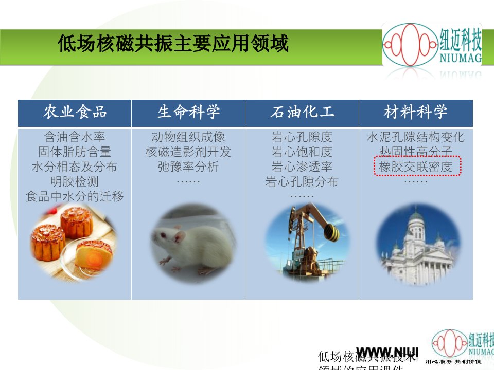 低场核磁共振技术在高分子领域的应用课件