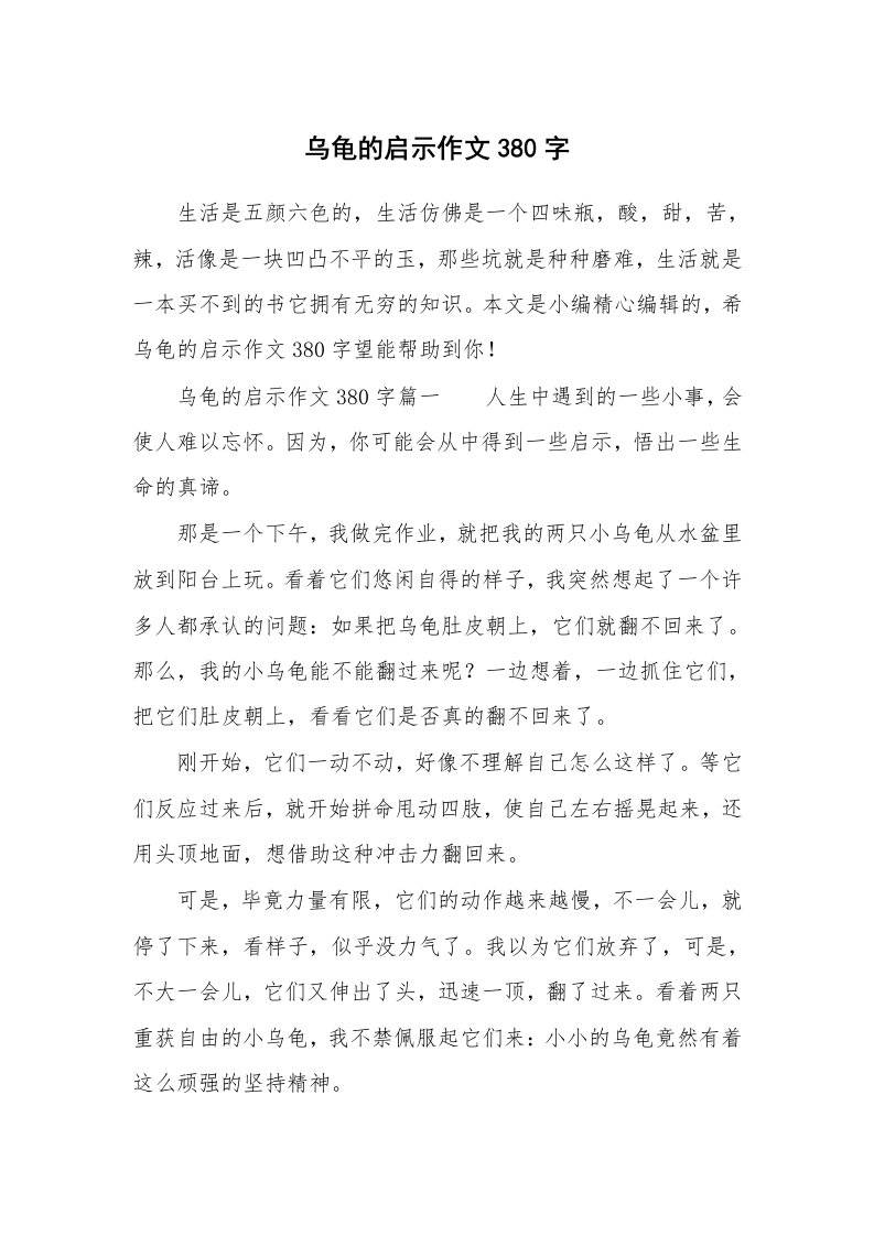 乌龟的启示作文380字