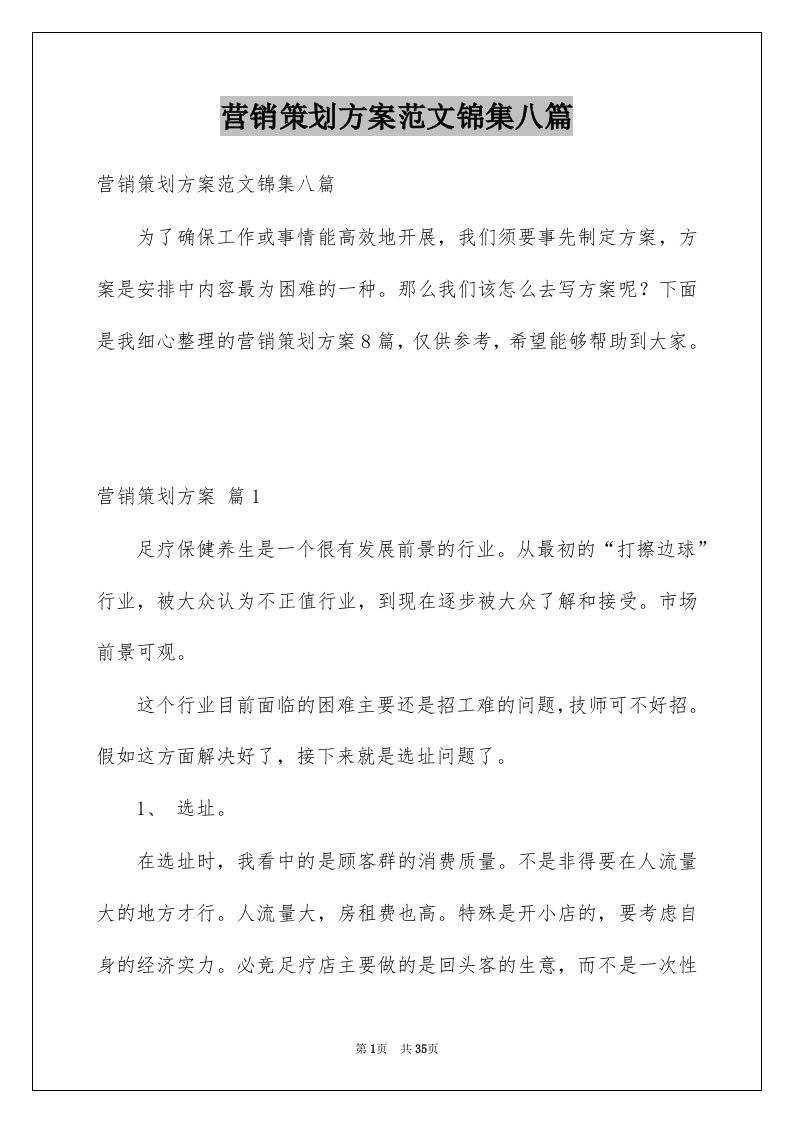 营销策划方案范文锦集八篇