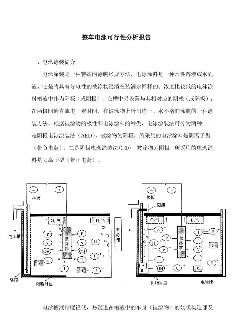 前处理电泳情况分析报告