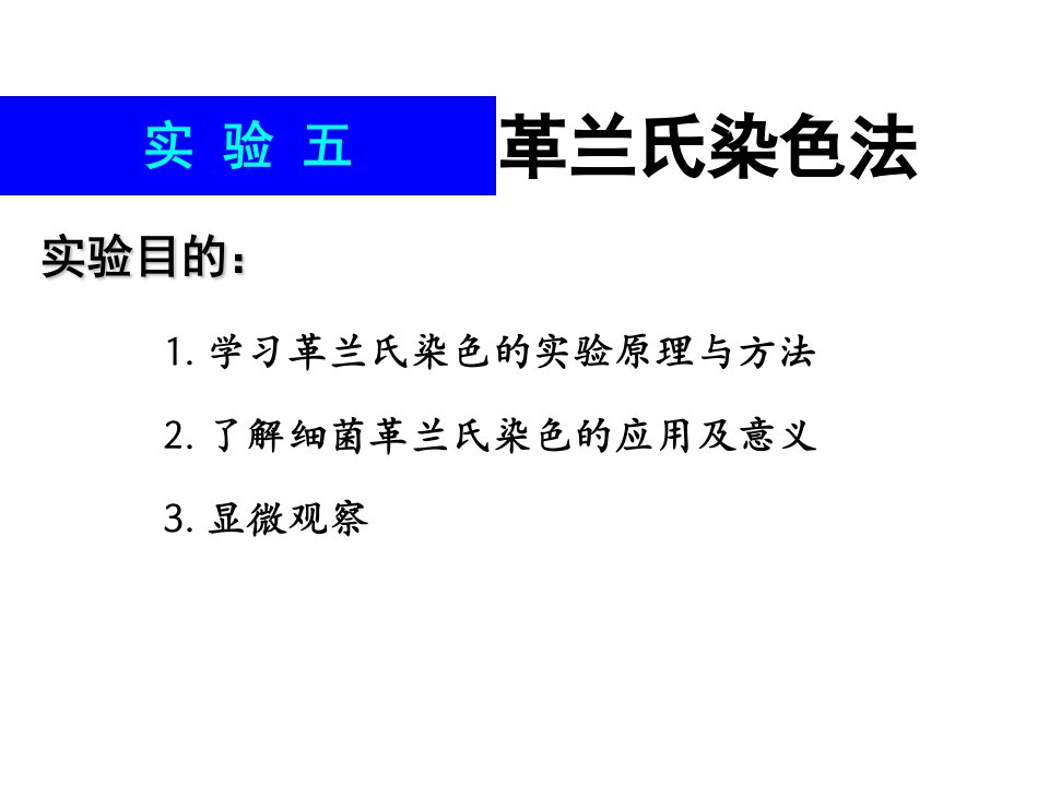 微生物学实验3革兰氏染色与细菌个体形态的观察