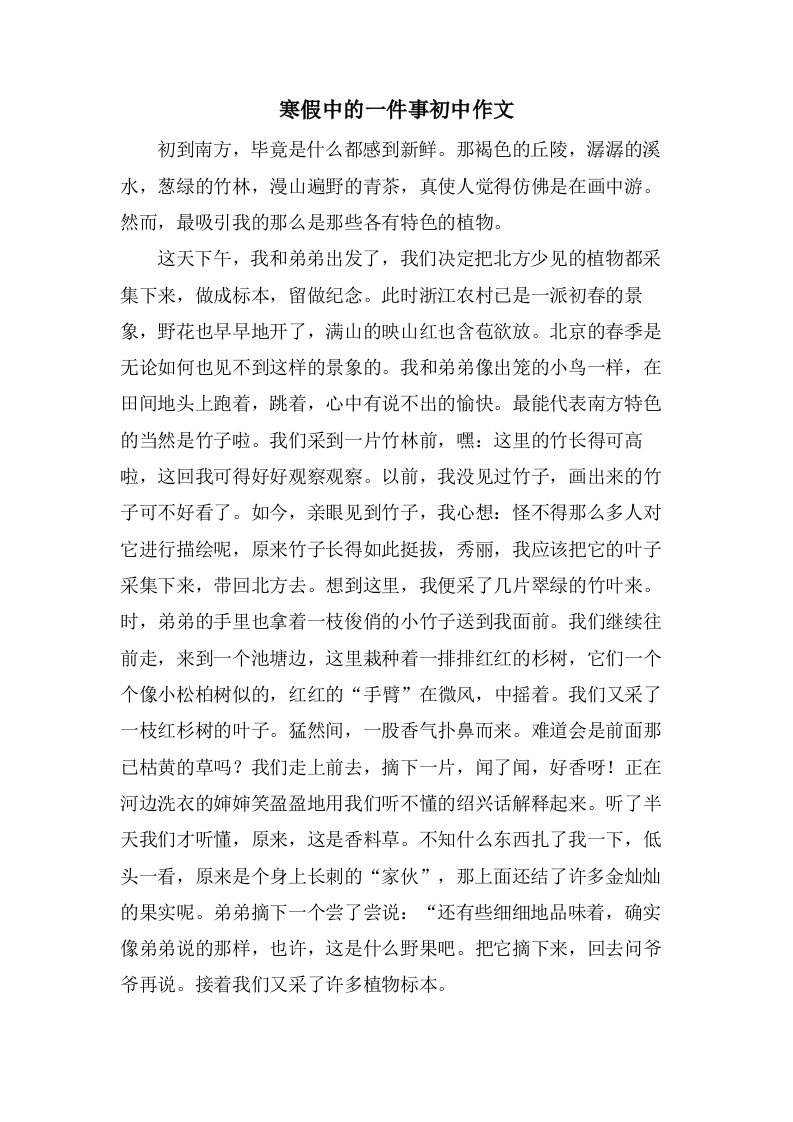 寒假中的一件事初中作文