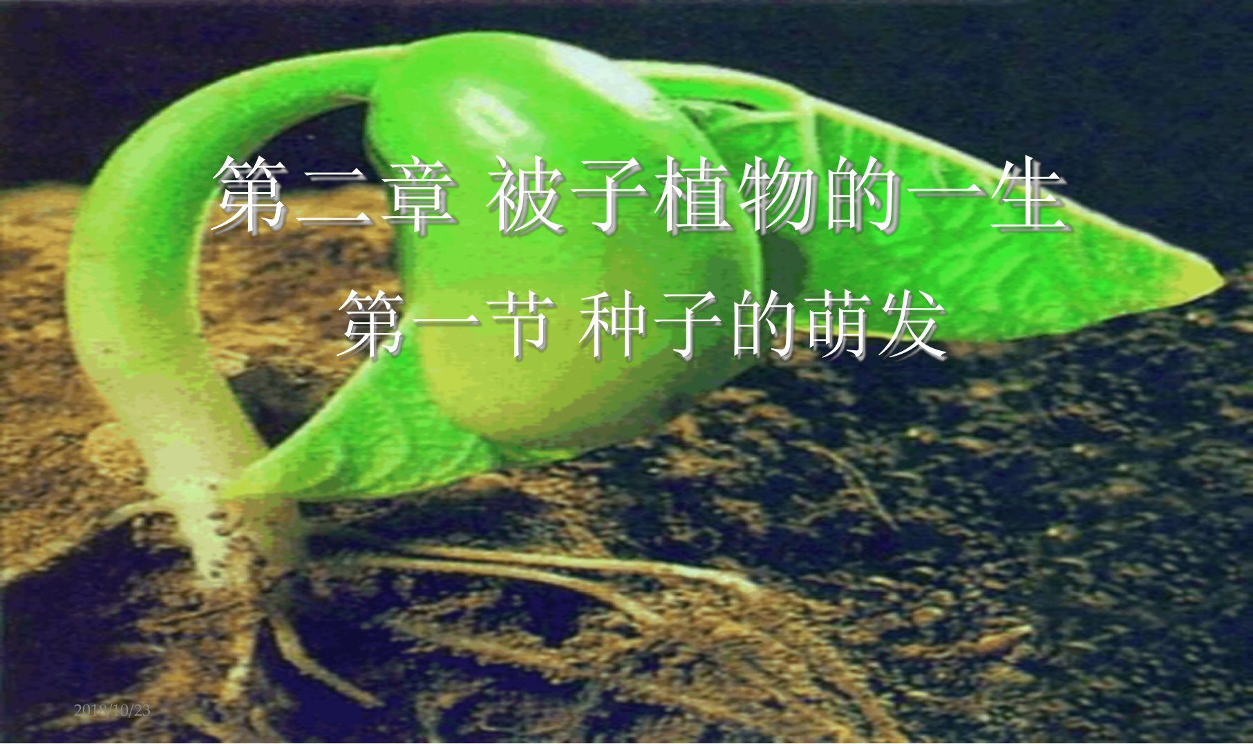 初中人教版七年级上册生物课件321种子的萌发第2课时课件资料