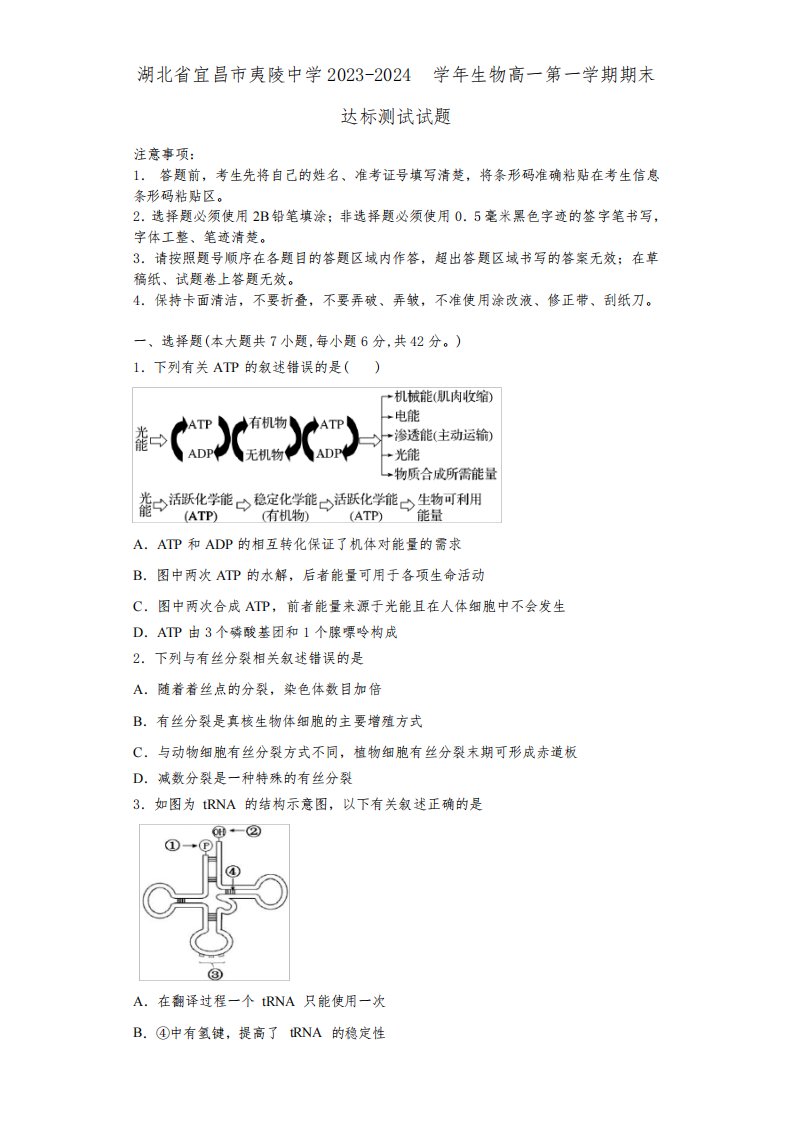 湖北省宜昌市夷陵中学2023-2024学年生物高一第一学期期末达标测试试题含解析