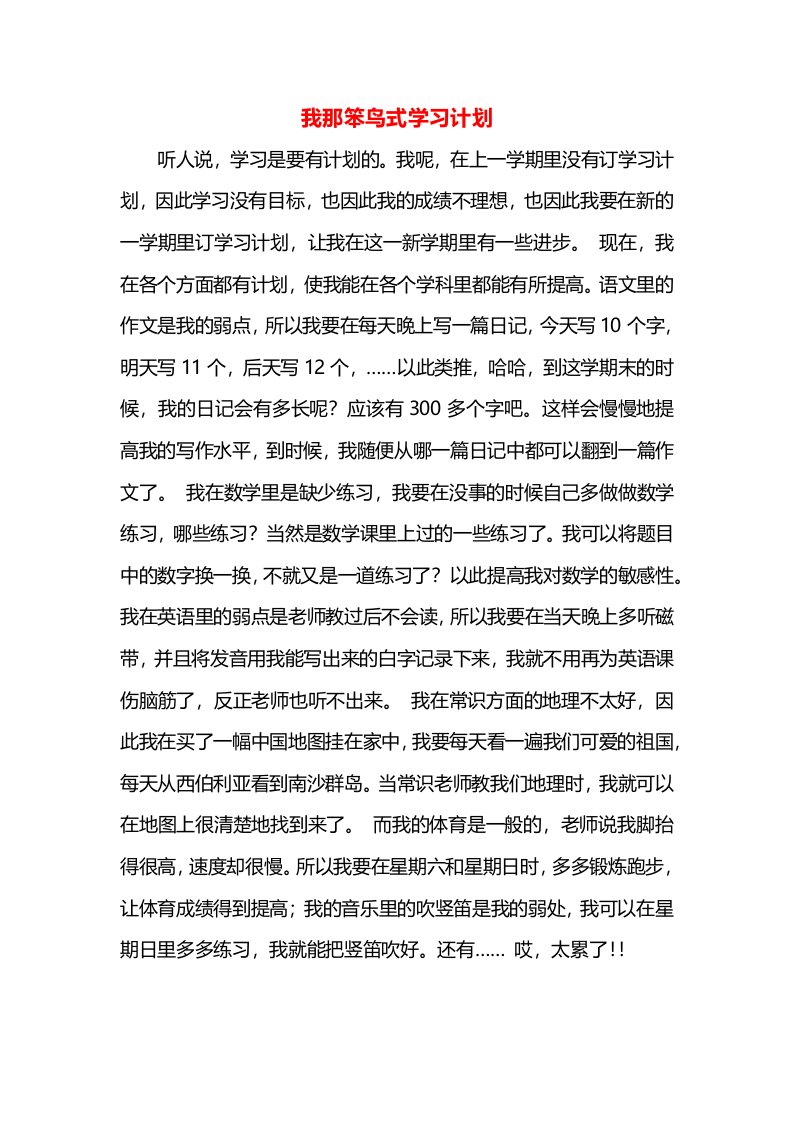 我那笨鸟式学习计划