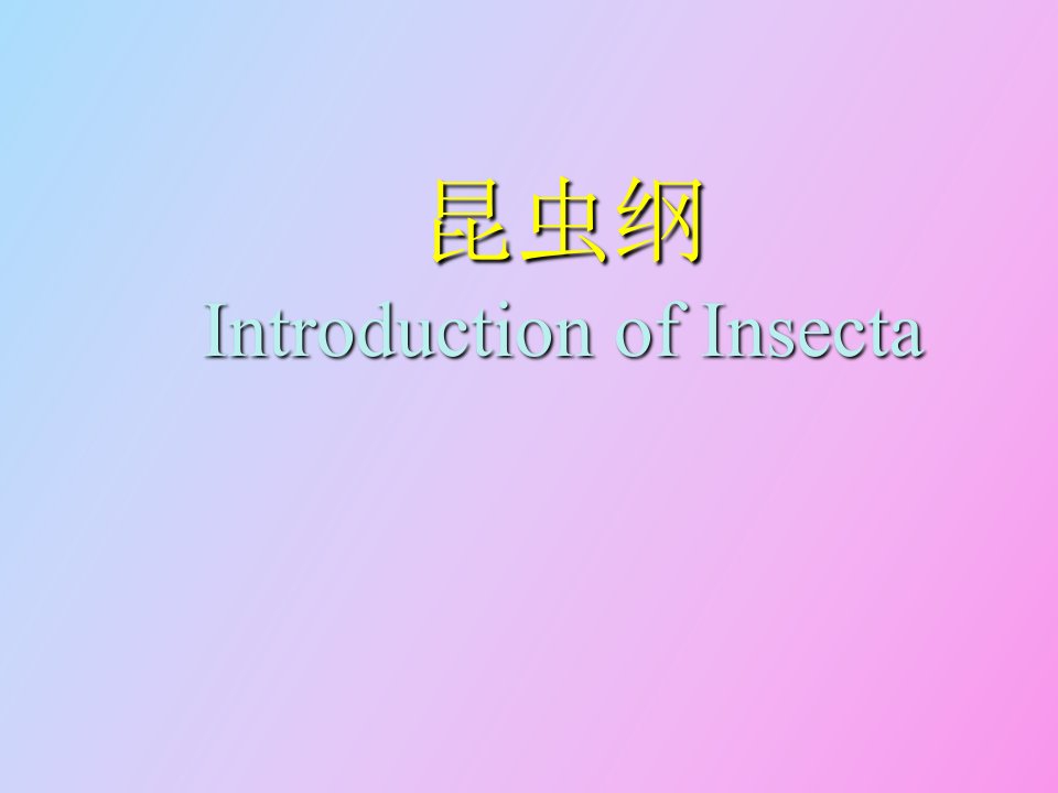 昆虫纲introductionofinsecta