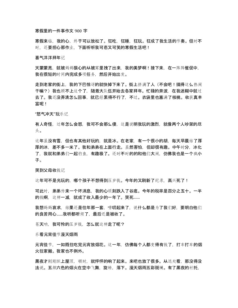 寒假里的一件事作文900字