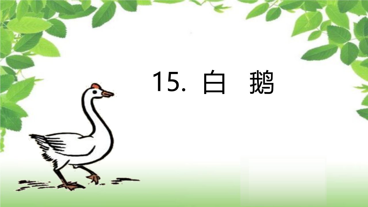 统编本小学语文四年级下册第四单元第十五课《白鹅》课件