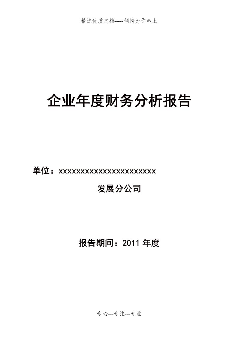 企业年度财务分析报告模板2012(共28页)