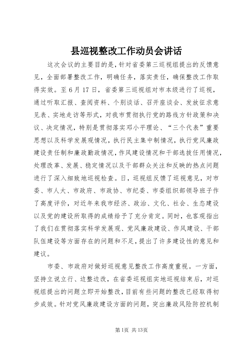 县巡视整改工作动员会讲话