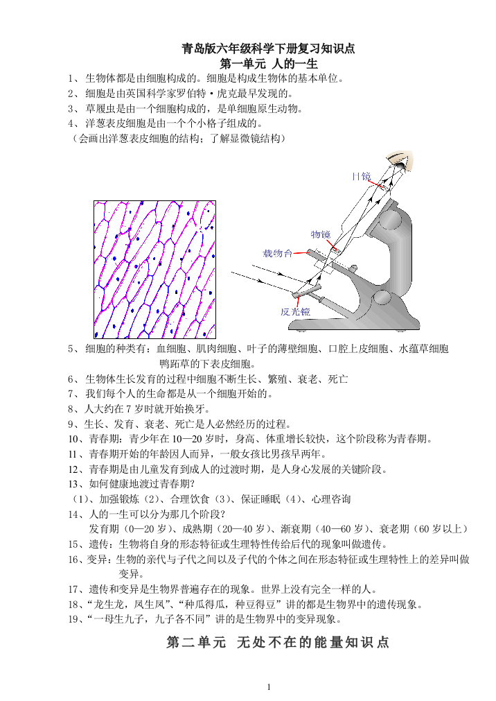 青岛版六年级下册科学基础知识点总结