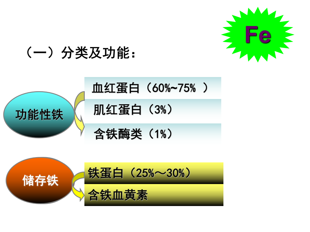 矿物质铁(ppt文档)