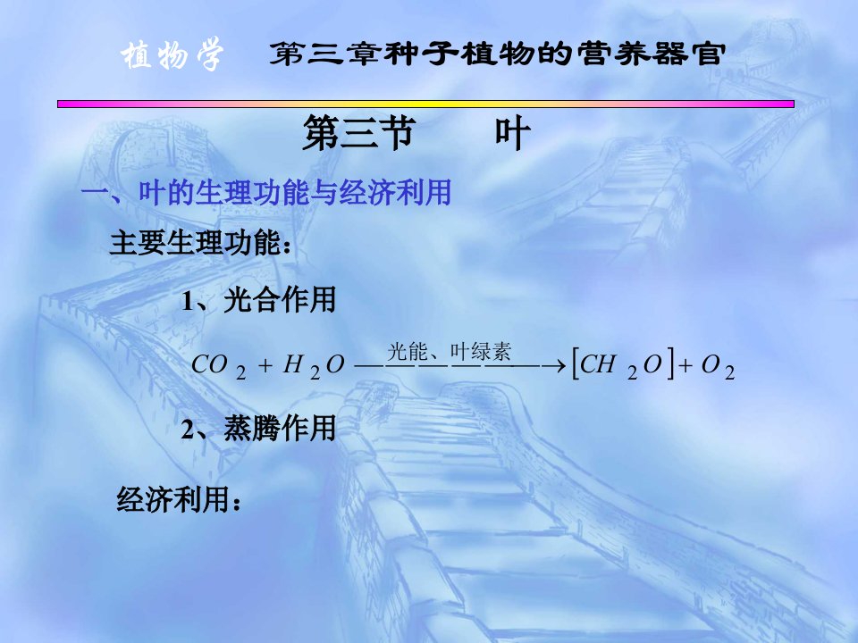 植物学第三章种子植物的营养器官