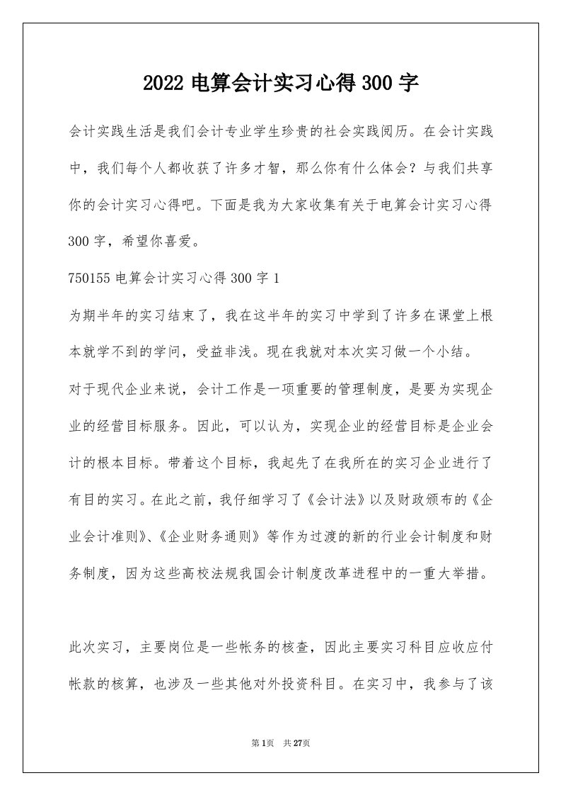 2022电算会计实习心得300字