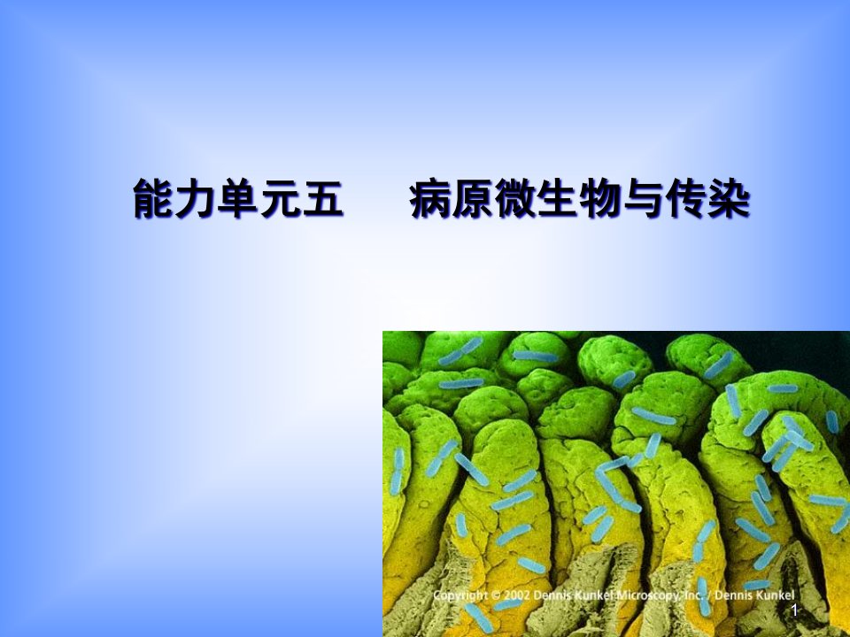 病原微生物与传染课件