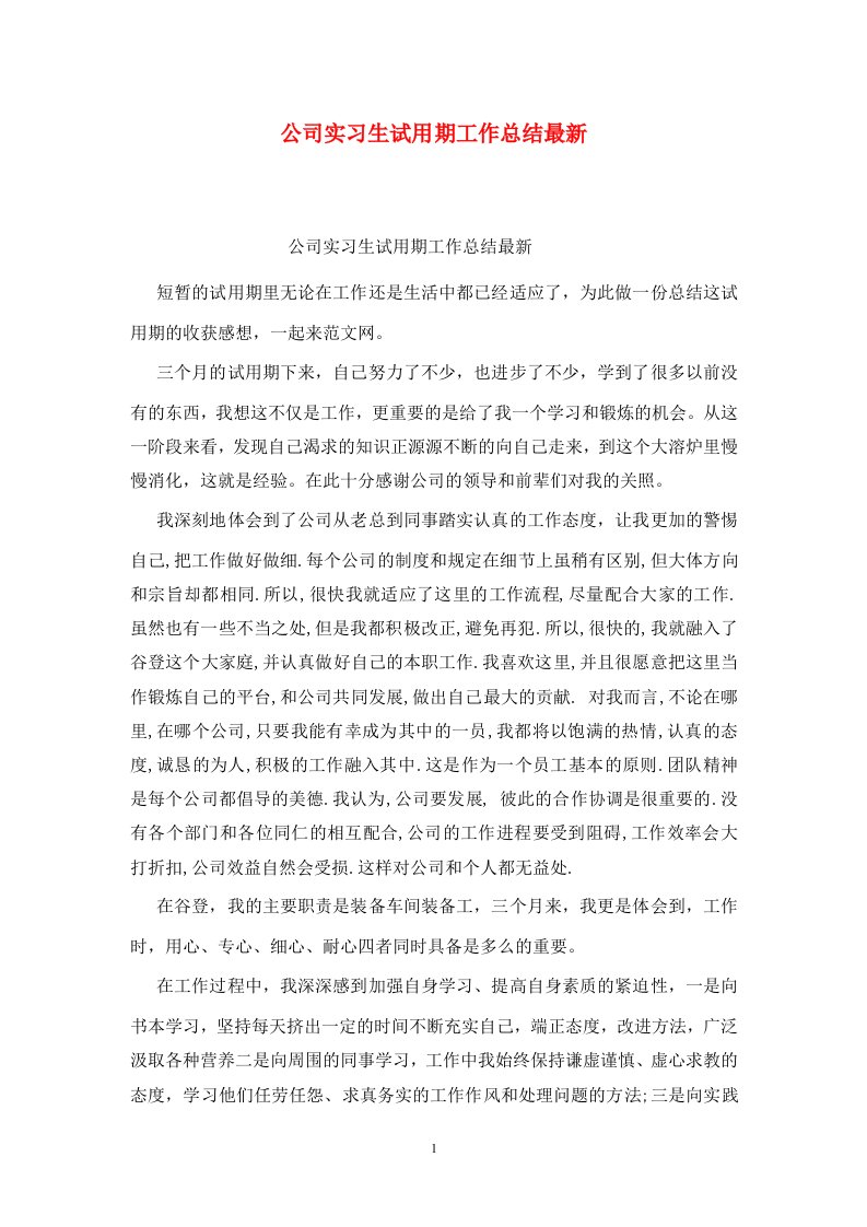 精选公司实习生试用期工作总结最新