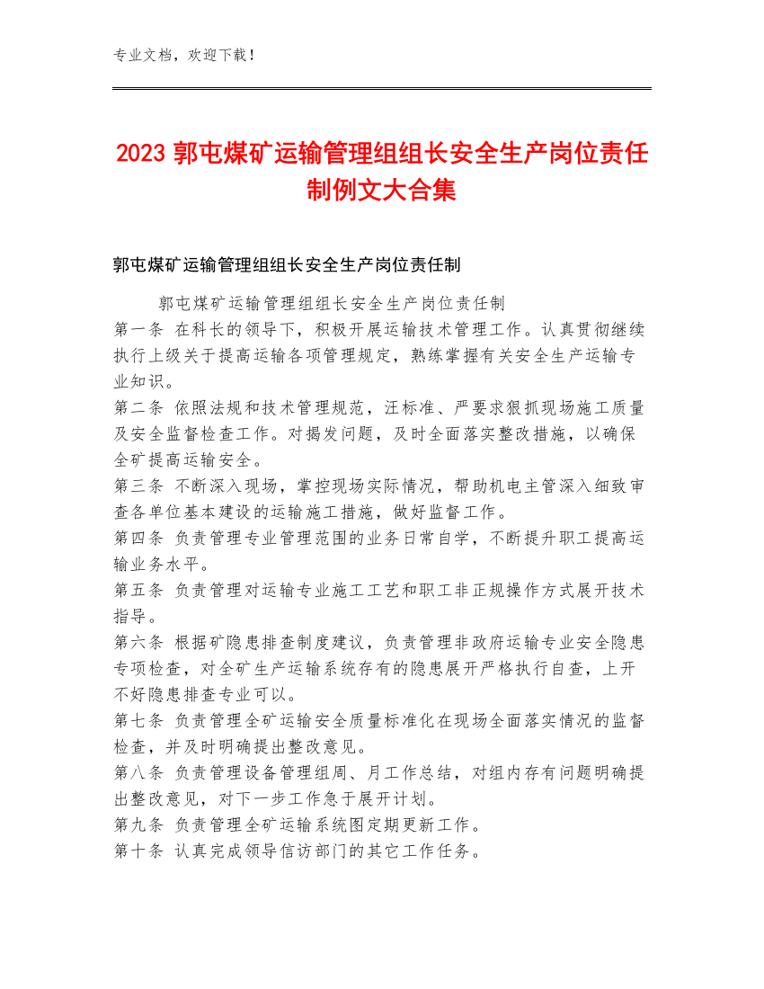 2023郭屯煤矿运输管理组组长安全生产岗位责任制例文大合集